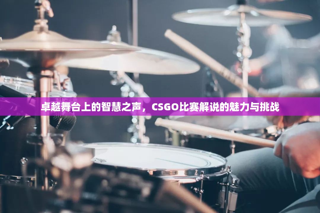 卓越舞台上的智慧之声，CSGO比赛解说的魅力与挑战