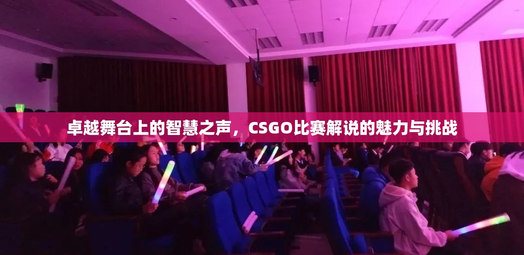 卓越舞台上的智慧之声，CSGO比赛解说的魅力与挑战