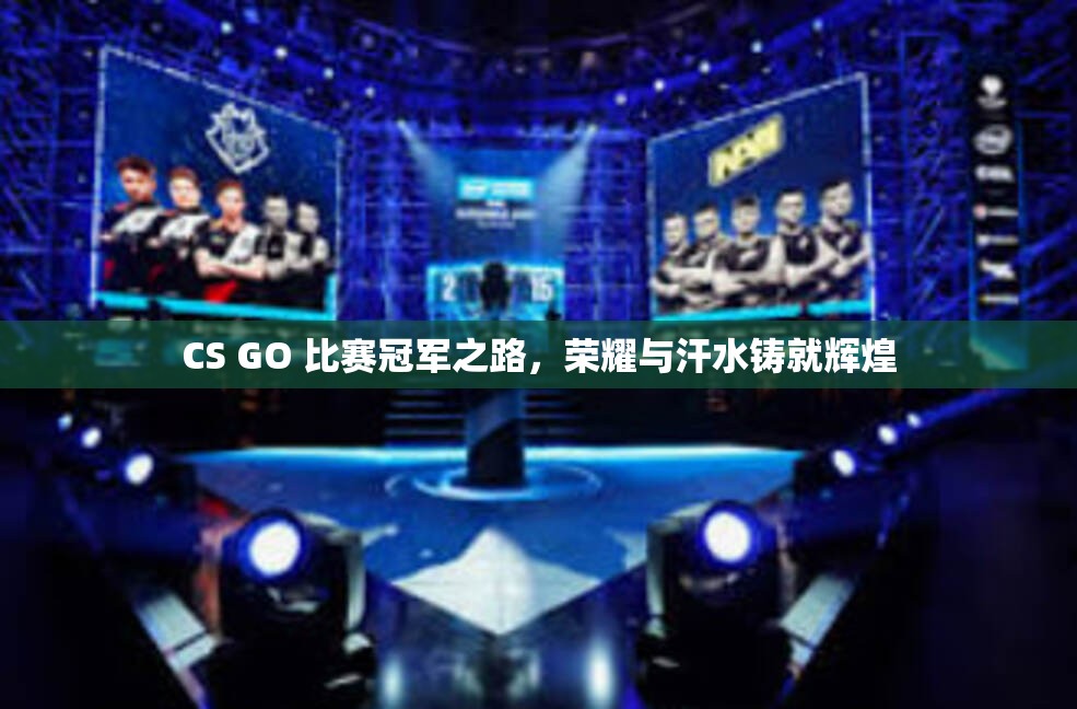 CS GO 比赛冠军之路，荣耀与汗水铸就辉煌