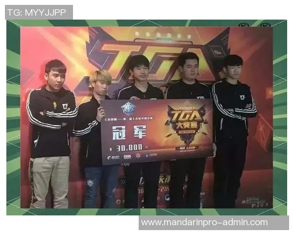 2017竞技比赛-2017年竞技比赛的辉煌与荣耀-2017竞技比赛