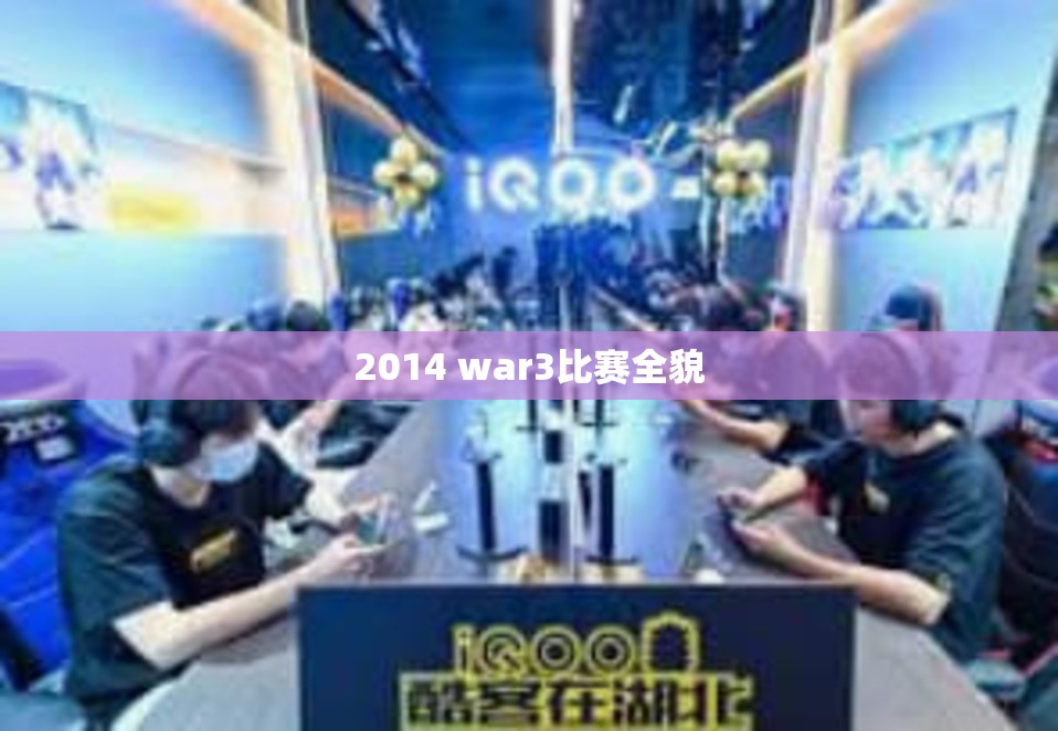 2014 war3比赛全貌